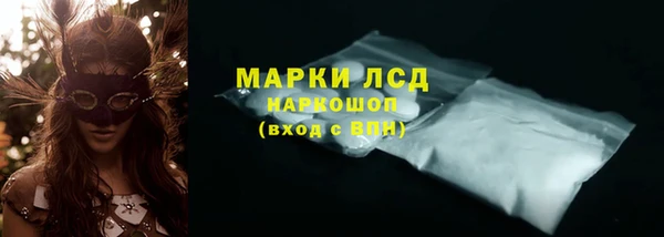 гашик Аркадак