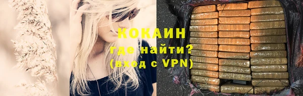 гашик Аркадак