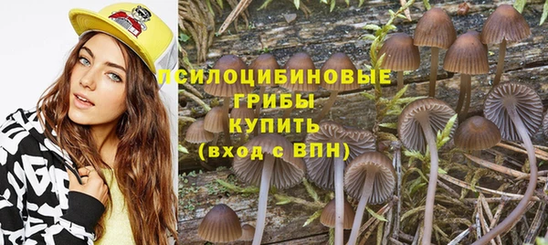 гашик Аркадак
