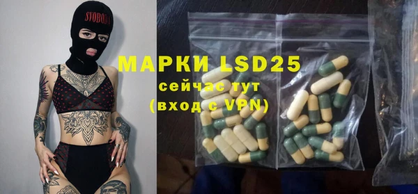 гашик Аркадак